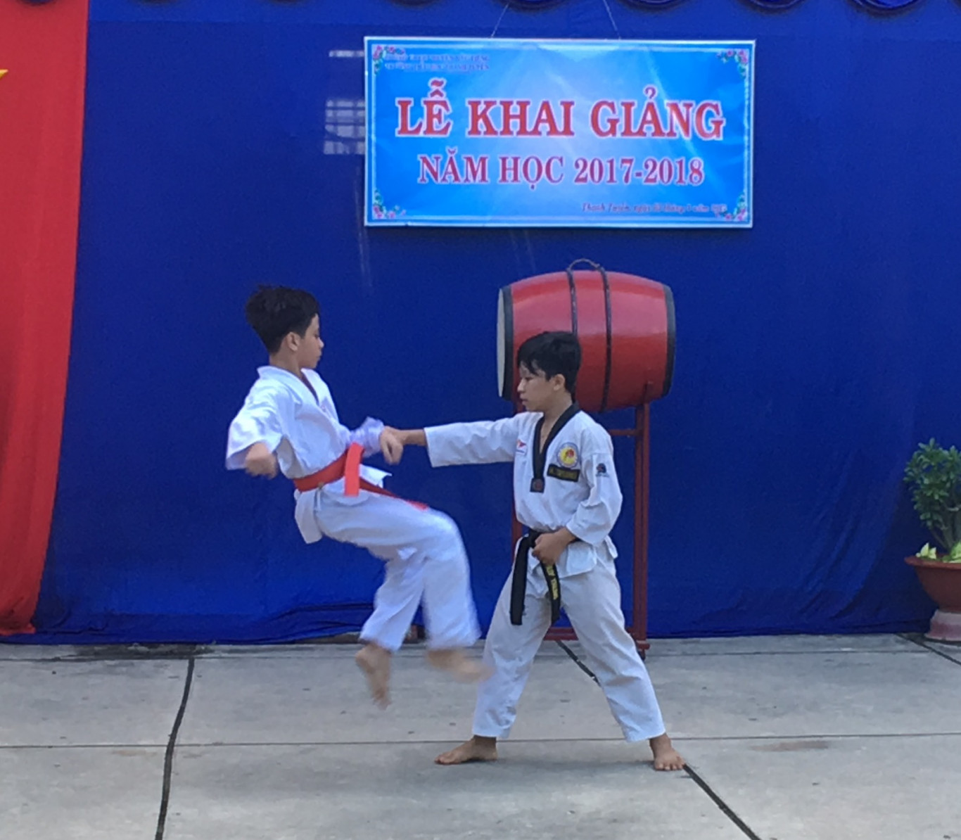Biểu diễn Võ Thuật